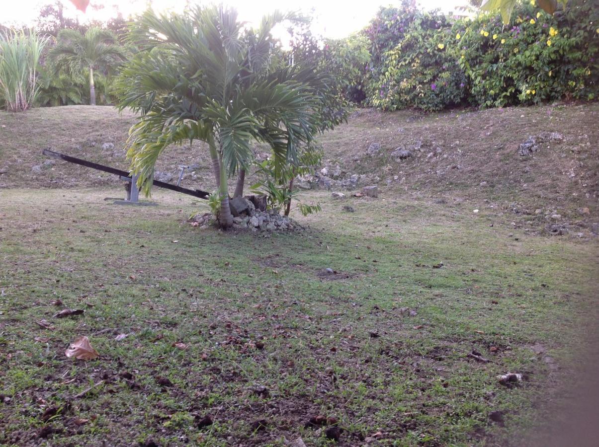 Villa Coin tranquille à Morne-a-l'Eau Extérieur photo